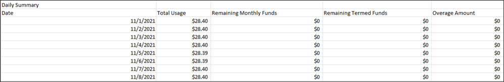Consumption report showing daily summary of charges